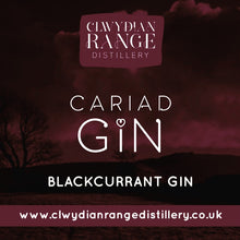 Load image into Gallery viewer, Cariad Gin - Blackcurrant Gin 500ml