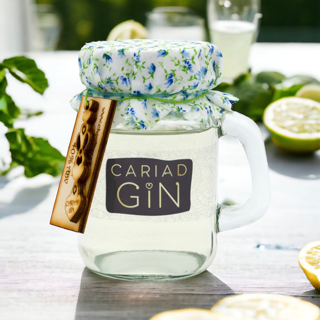 Cariad Gin - Lemon & Lime Gin 100ml