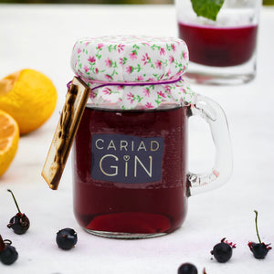 Cariad Gin - Blackcurrant Gin 100ml Gift Box