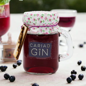 Cariad Gin - Blackcurrant Gin 100ml