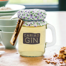 Load image into Gallery viewer, Cariad Gin - Plum Crumble Gin 100ml
