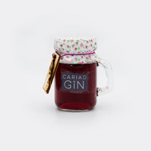 Load image into Gallery viewer, Cariad Gin 100ml Picnic Bag Collection
