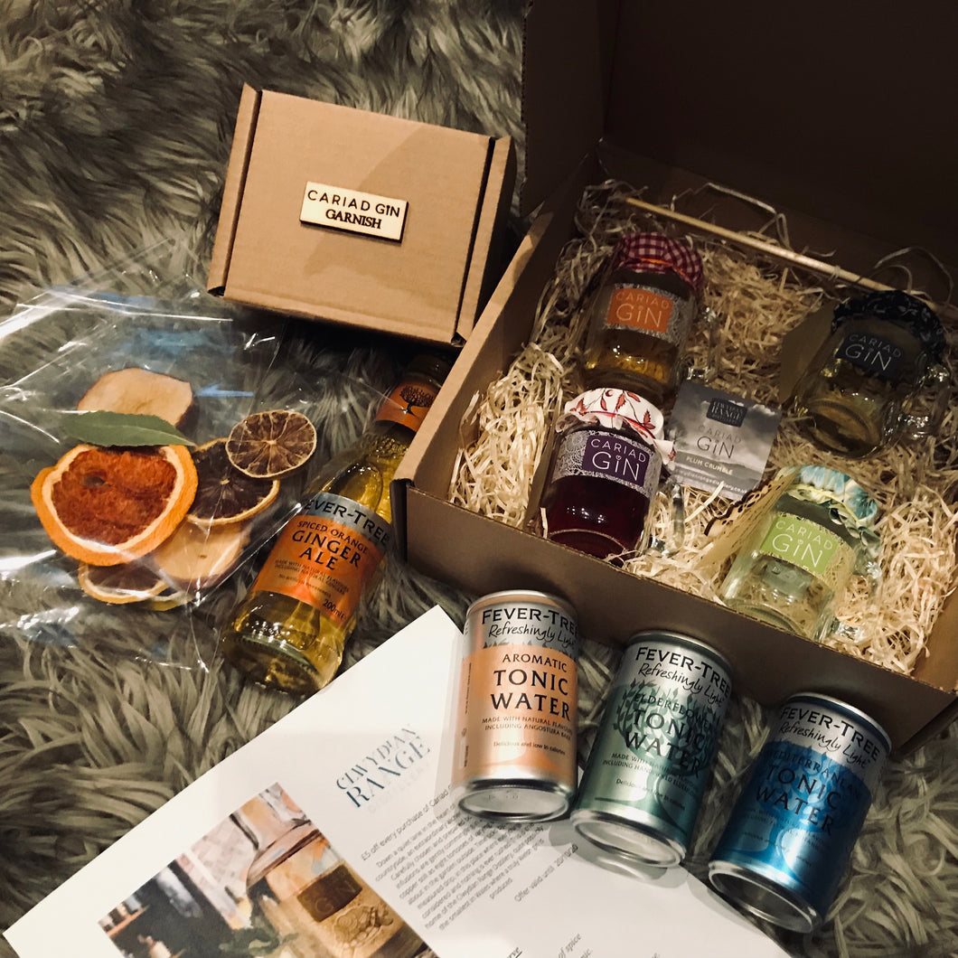 Cariad Gin Taster Gift Box Collection 100ml x 4